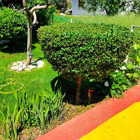 Apartament Zvijerko *