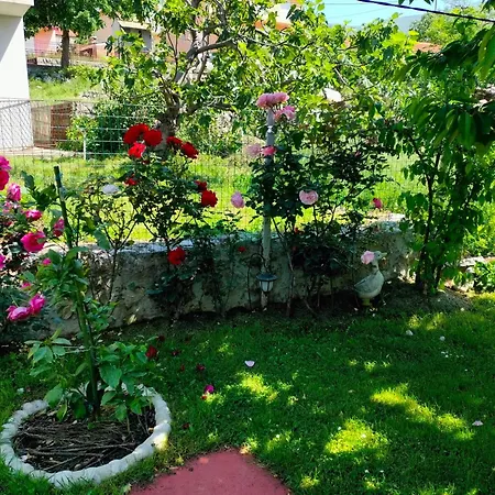 Apartment Prostrani Sa Divnim Dvoristem Trebinje